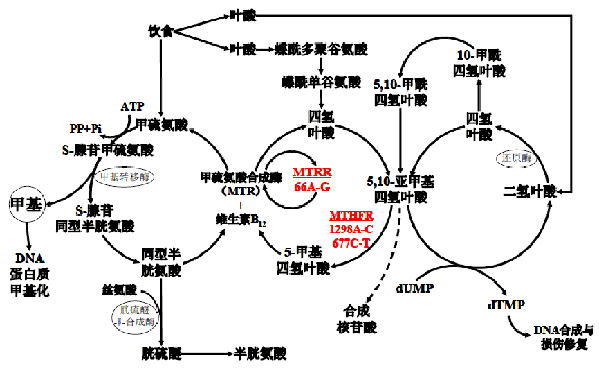 Uֹʡ(й)